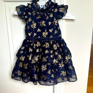 Stunning blue and gold holiday dress.